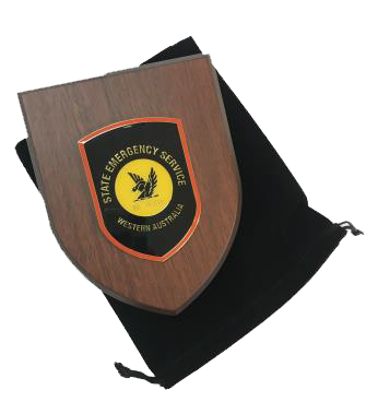 SES Presentation Plaque