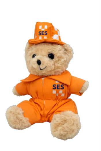 SES Teddy bear with helment
