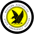 Black_swan_logo10-removebg-preview (1)