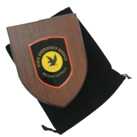 SES Presentation Plaque