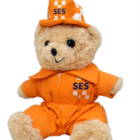 SES Teddy bear with helment